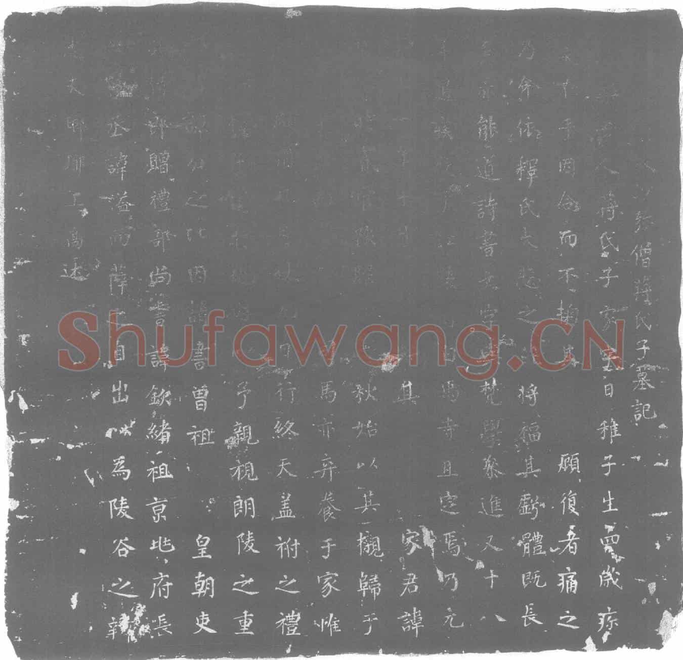 唐蒋氏，蒋郕之子墓誌