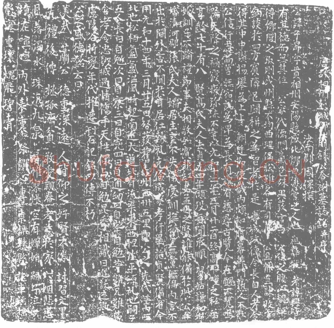 唐萧子昂墓誌