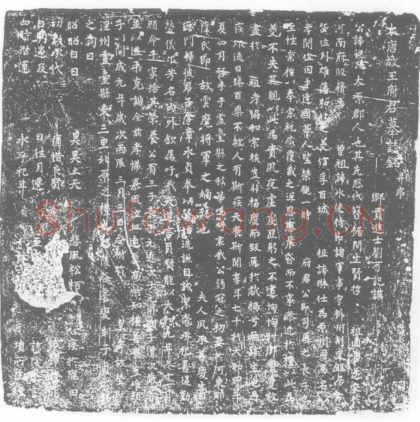 唐王从政墓誌