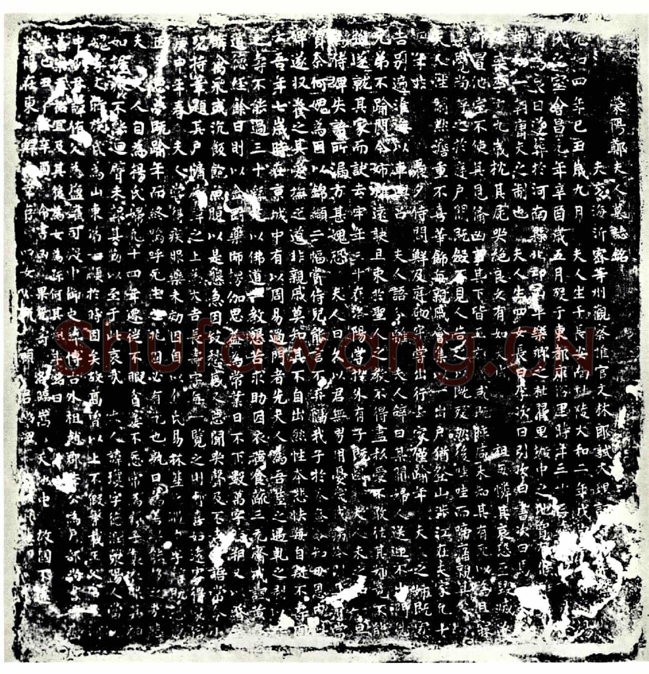 唐杨琼，郑夫人墓誌