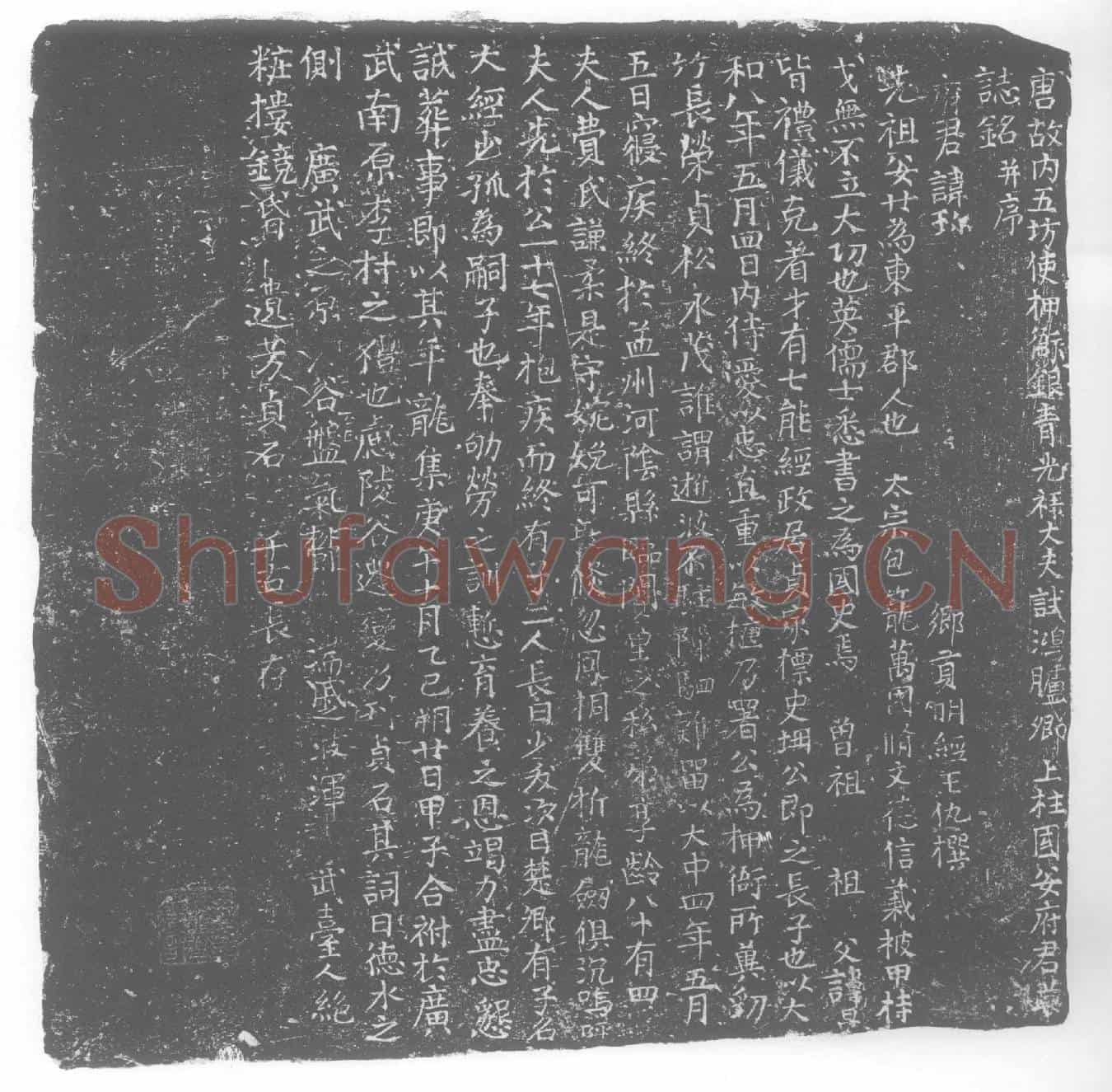 唐安珍及夫人费氏墓誌