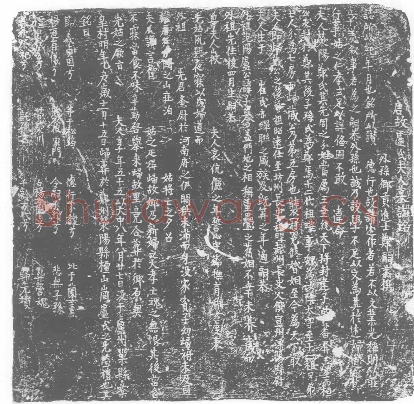 唐郑氏，卢子謩夫人墓誌