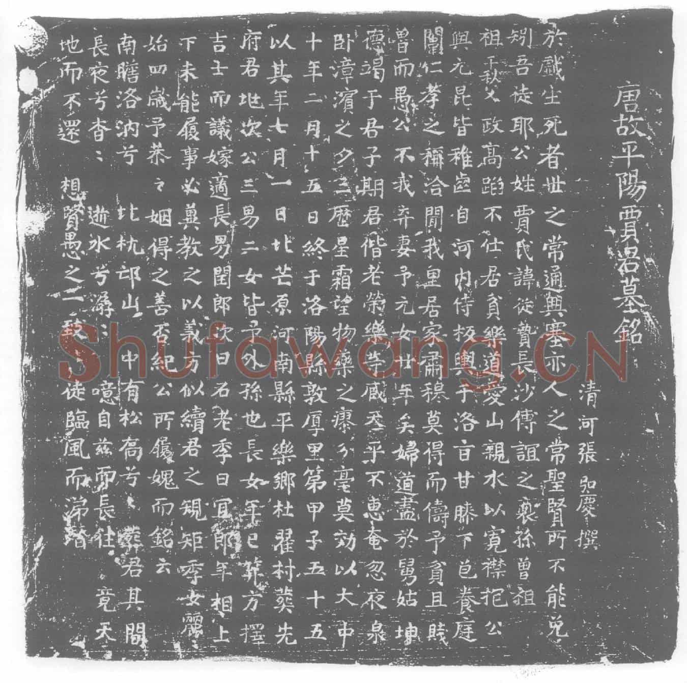 唐贾从贽墓誌