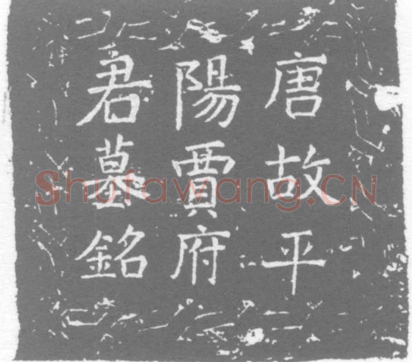 唐贾从贽墓誌