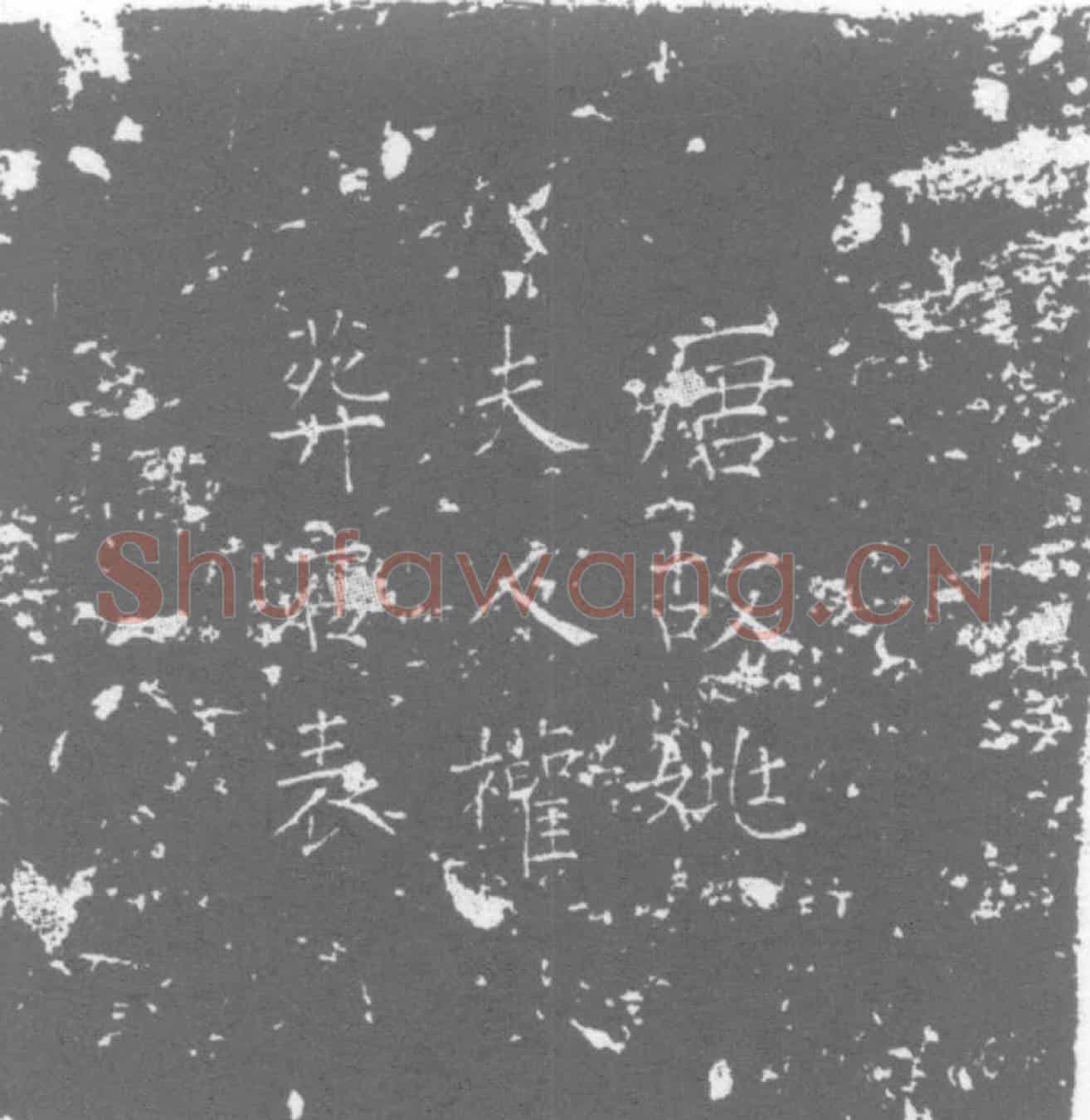 唐姚氏，姚洽女儿墓誌