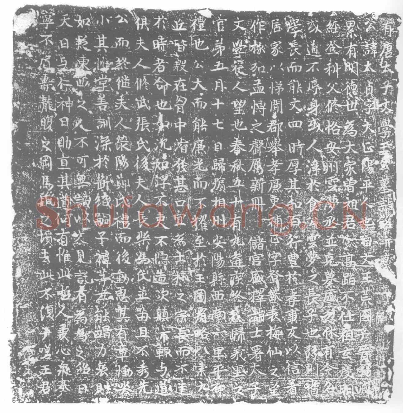 唐王太贞墓誌