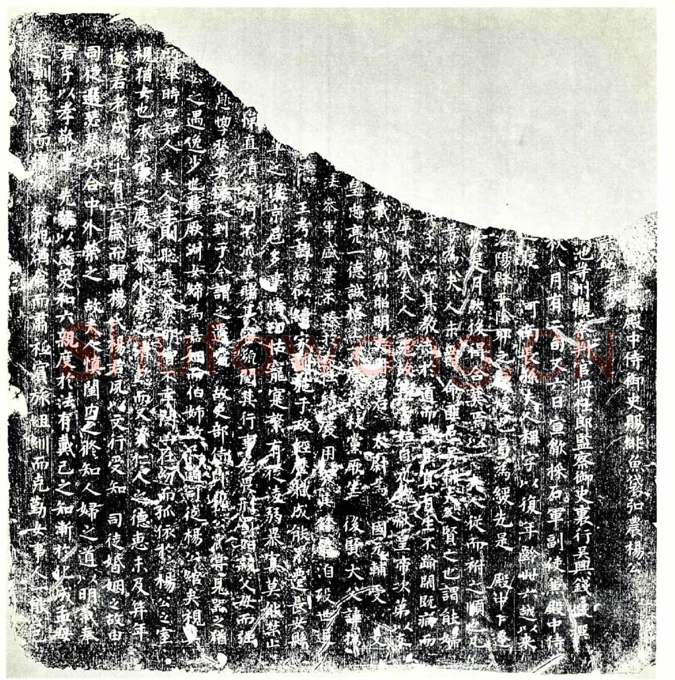 唐杨□，杨縯儿子墓誌