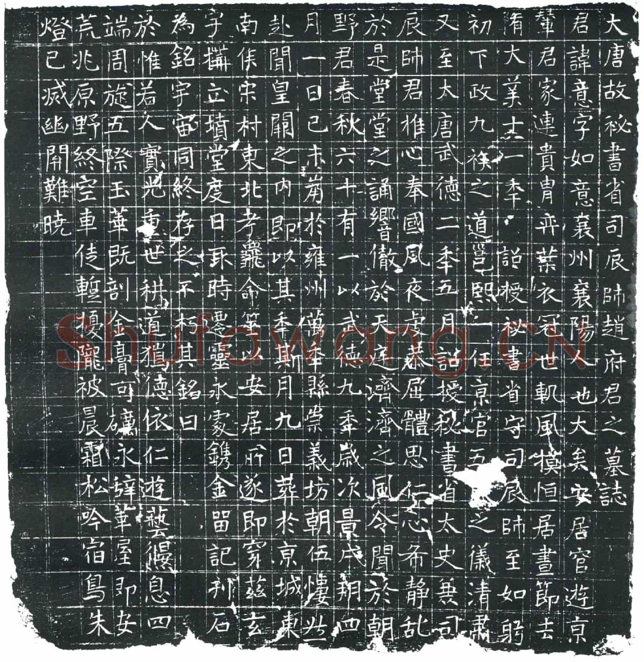唐赵意墓誌