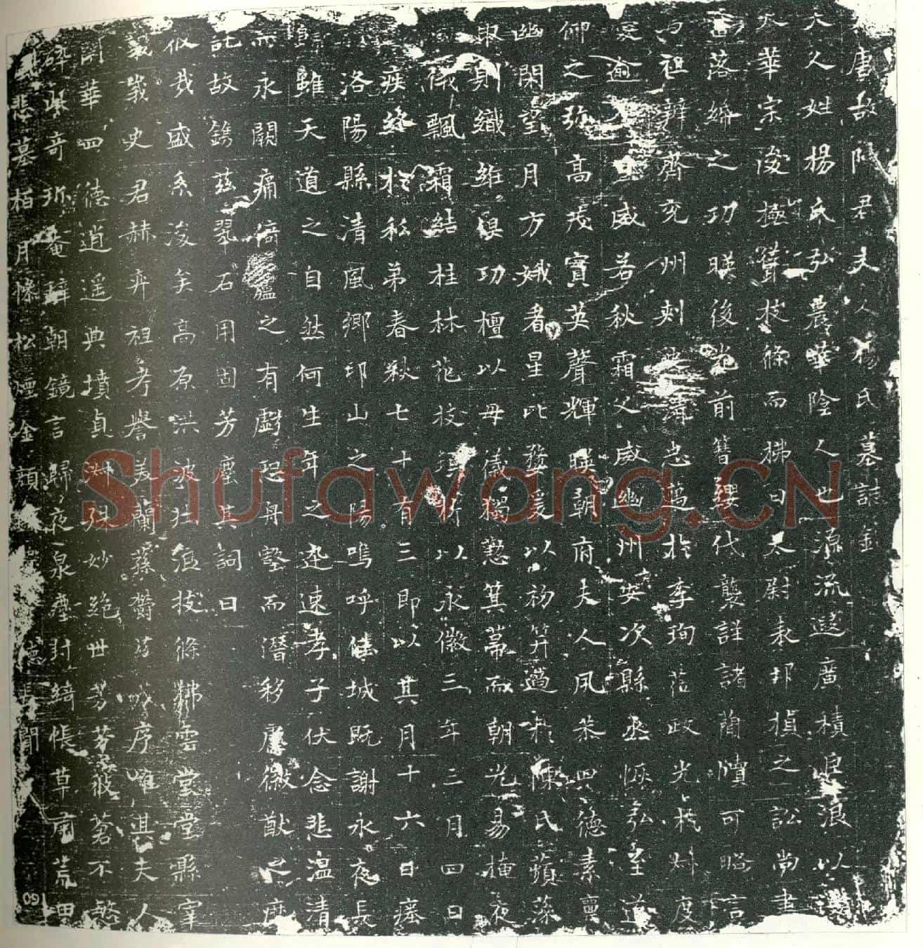 唐陈君妻杨氏墓誌