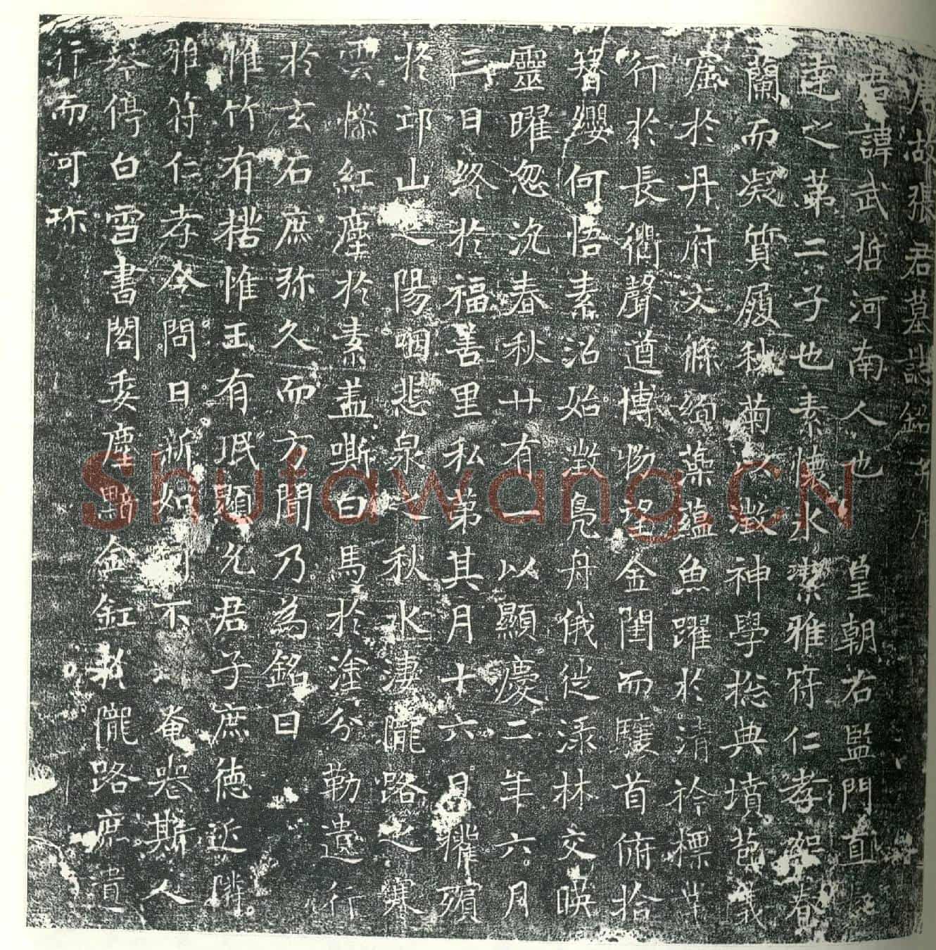 唐张武哲墓誌
