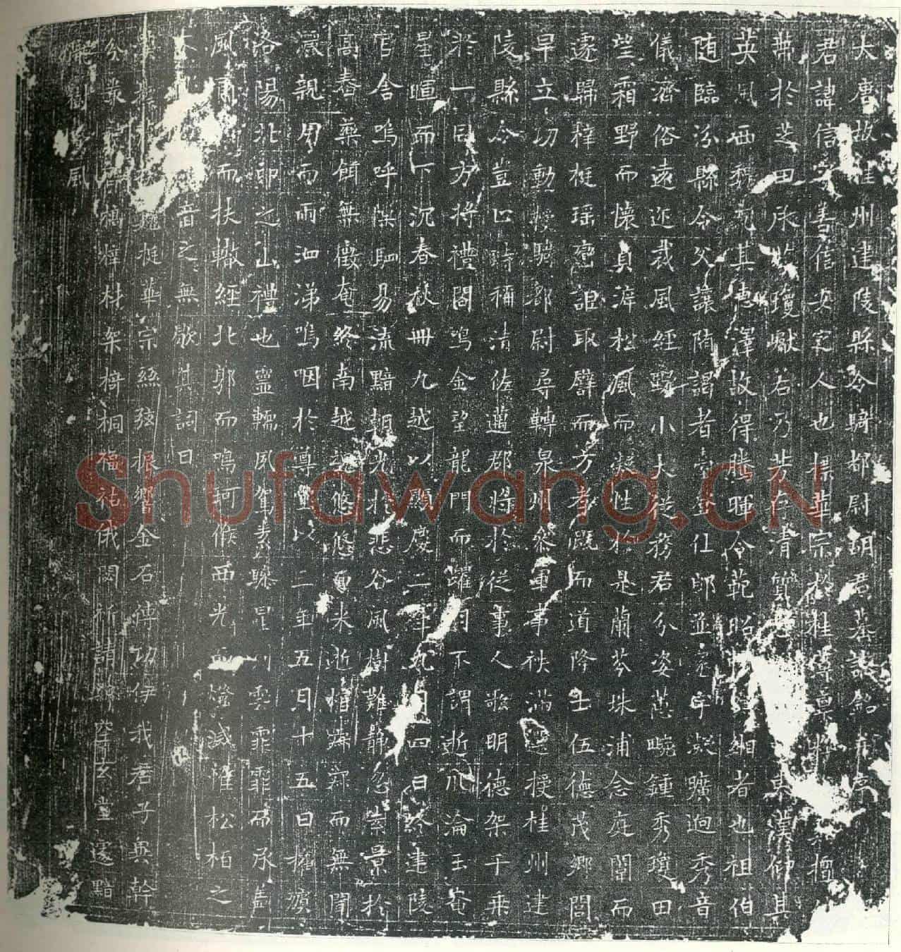 唐胡信墓誌