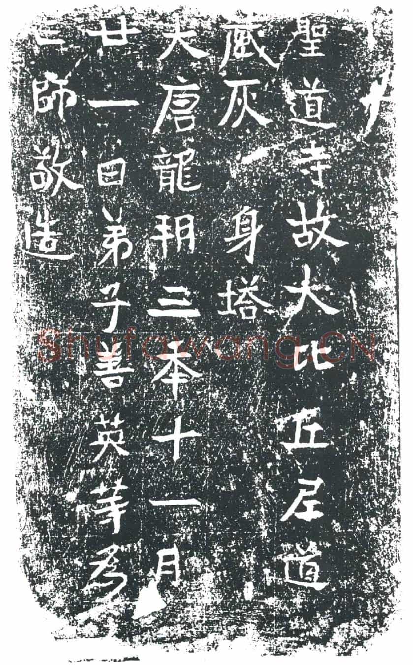 唐道藏墓誌