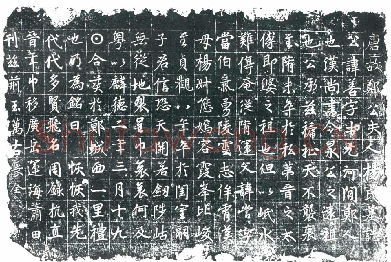 唐郑善夫人杨氏墓誌