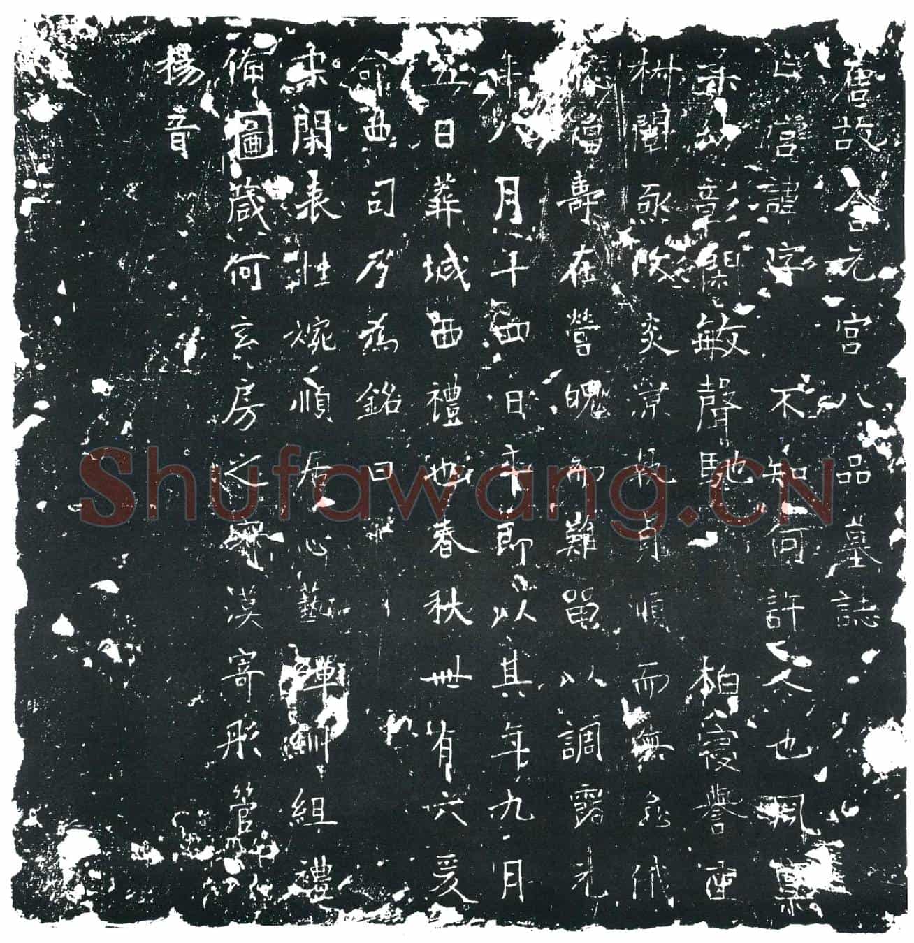 唐八品亡宫墓誌