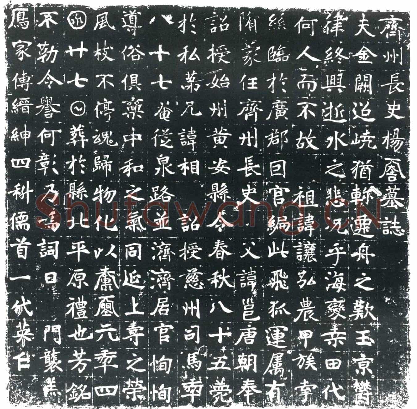 唐杨君墓誌