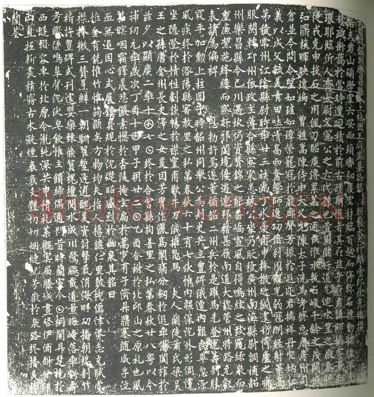 唐王师协墓誌