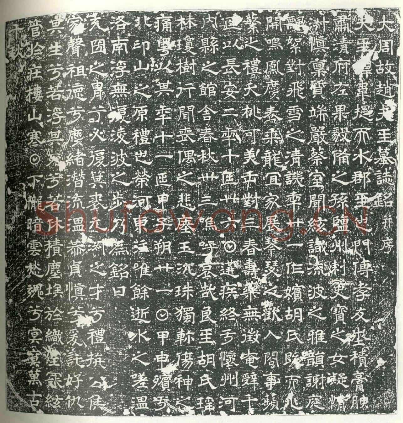 唐赵韦提墓誌