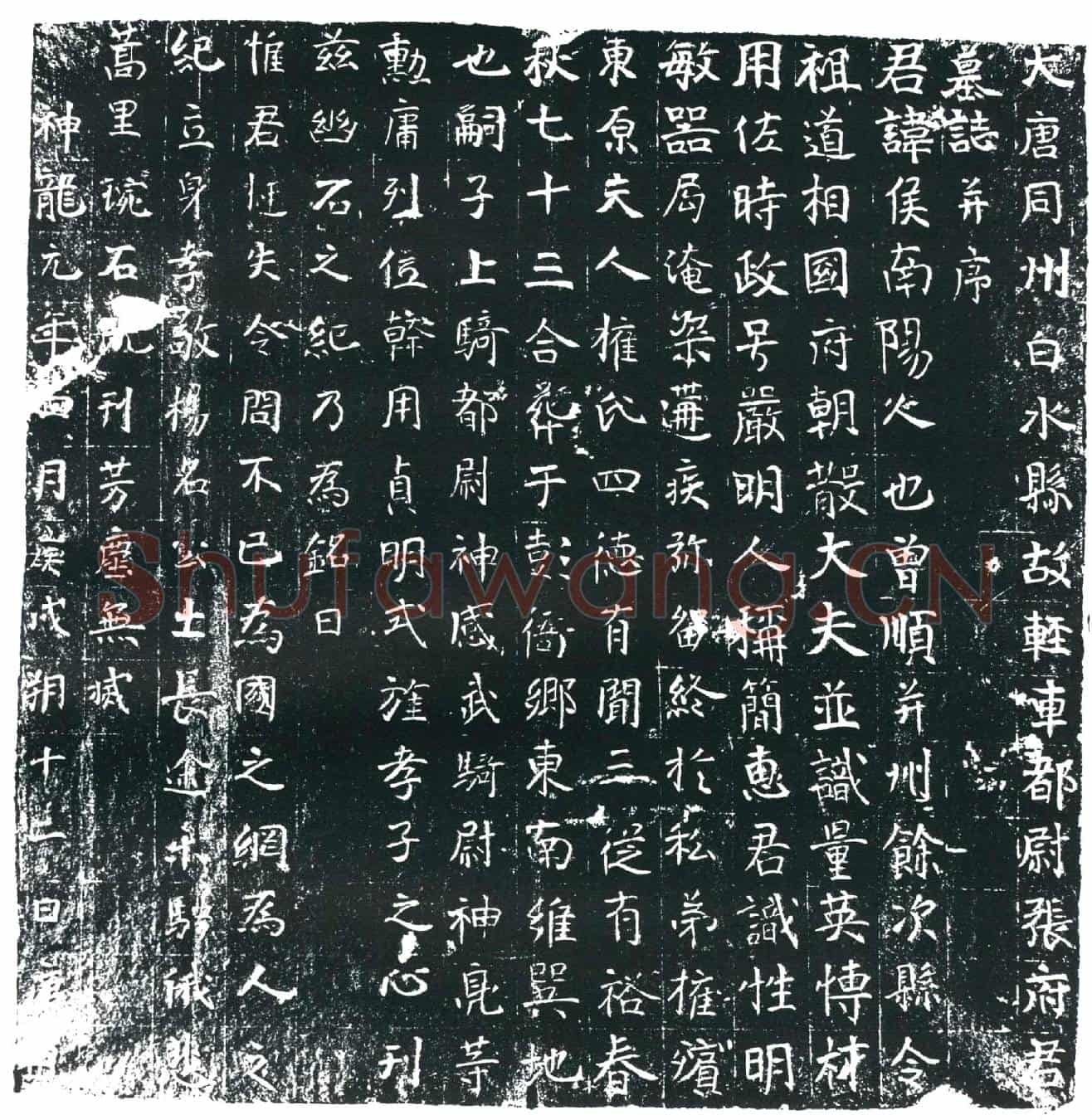 唐张侯墓誌