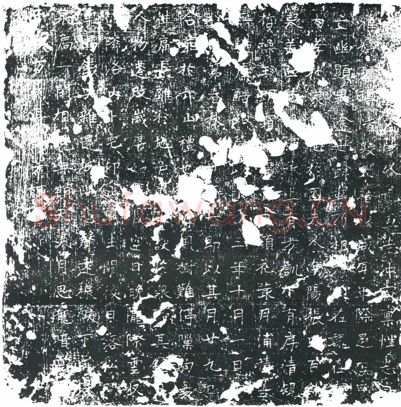 唐墓誌