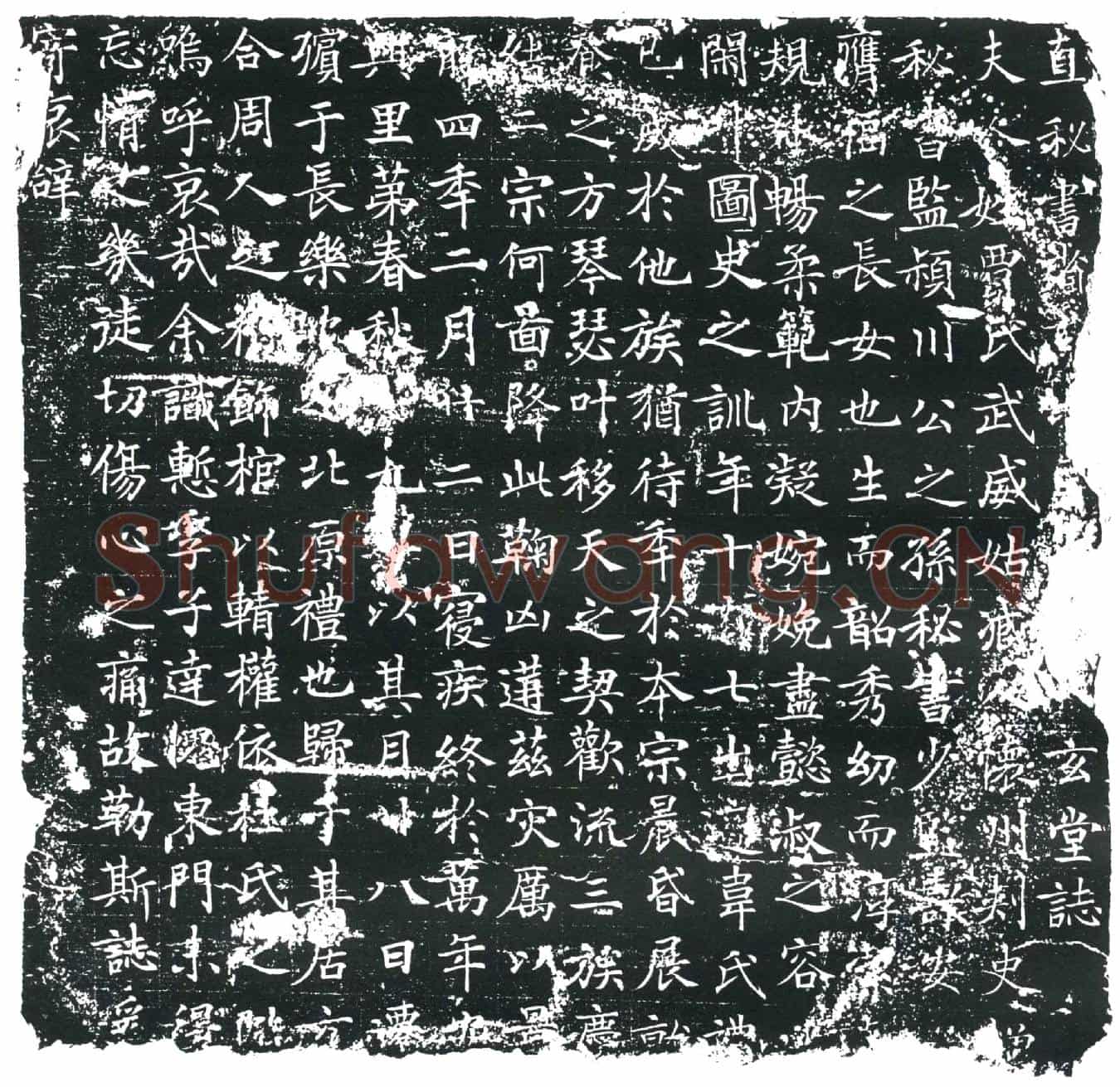 唐韦君妻贾氏墓誌