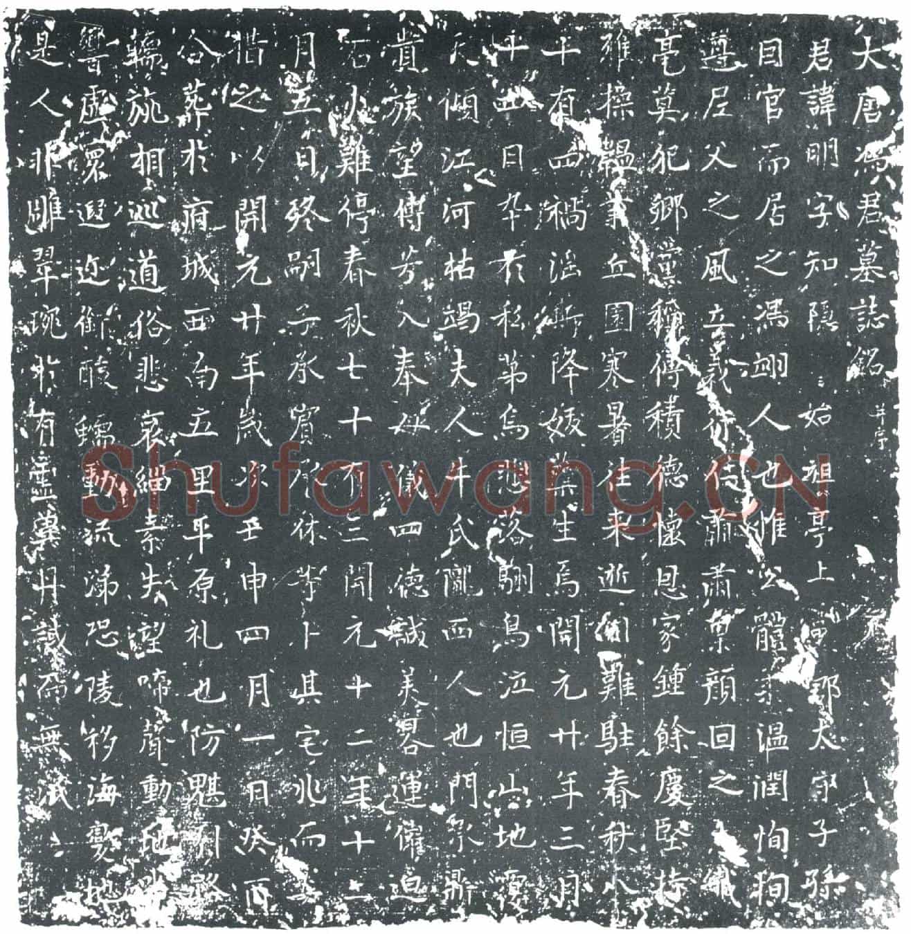 唐冯明墓誌