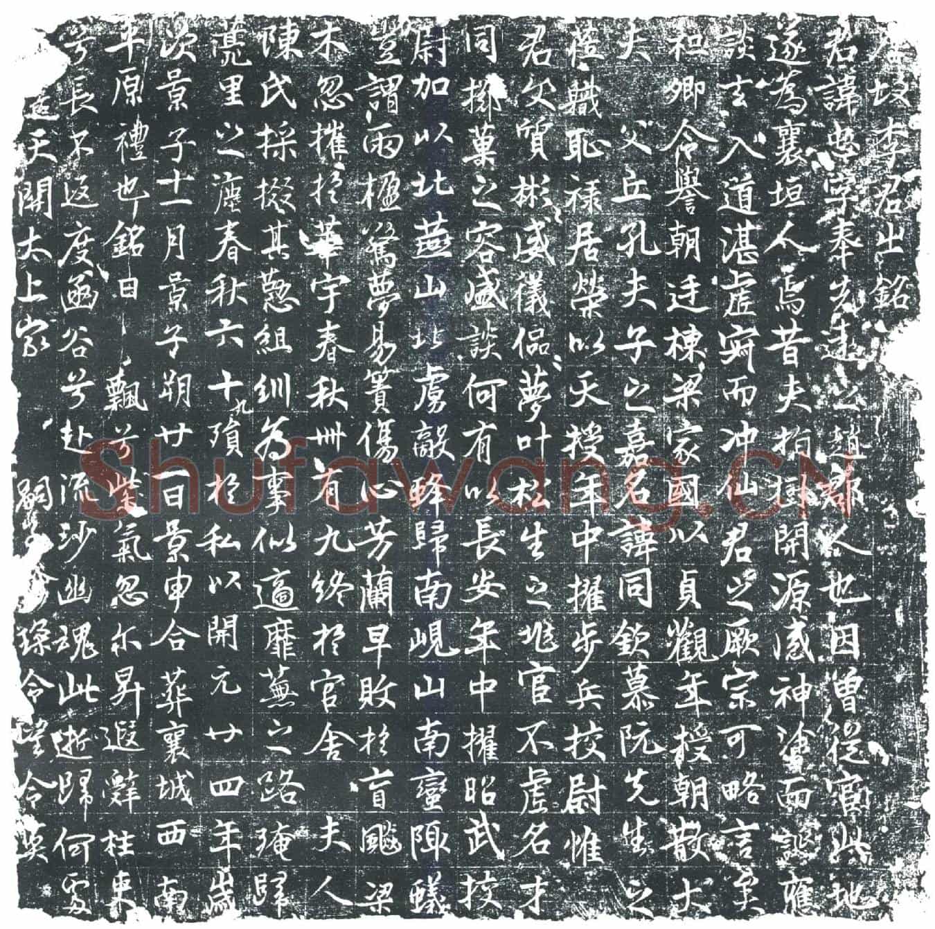 唐李忠墓誌