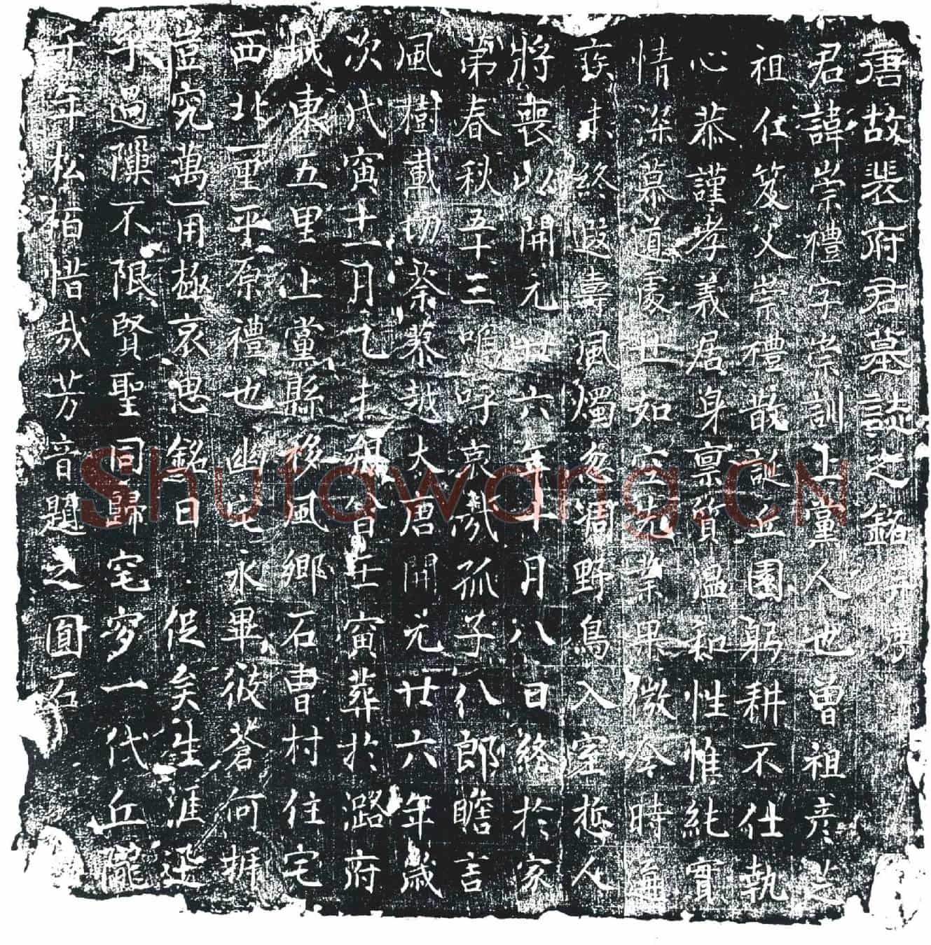 唐裴崇礼墓誌