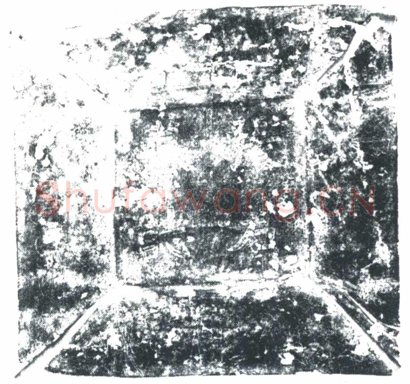 唐张文绪夫人王氏墓誌