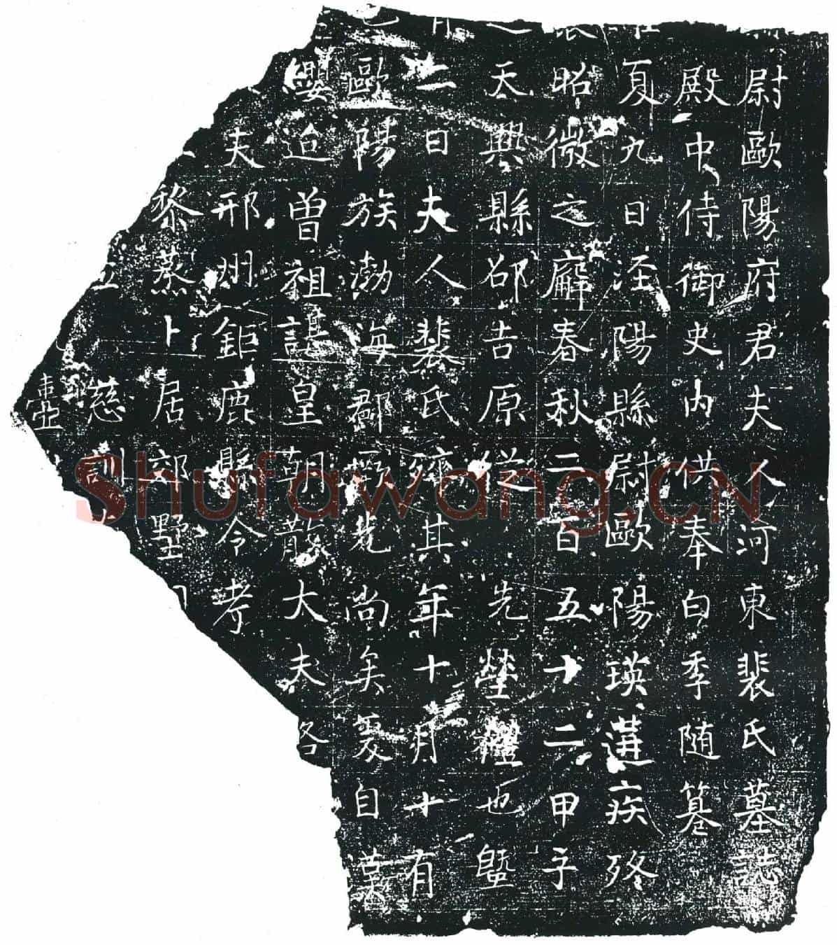唐欧阳府君夫人裴氏墓誌