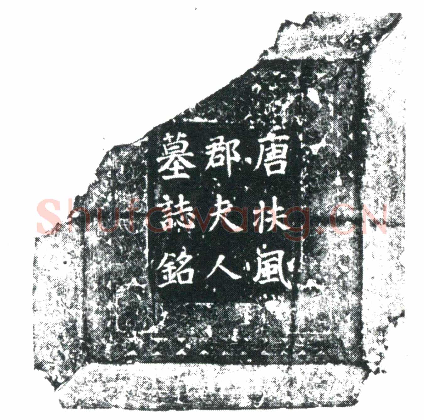 唐杜府君夫人韦氏墓誌
