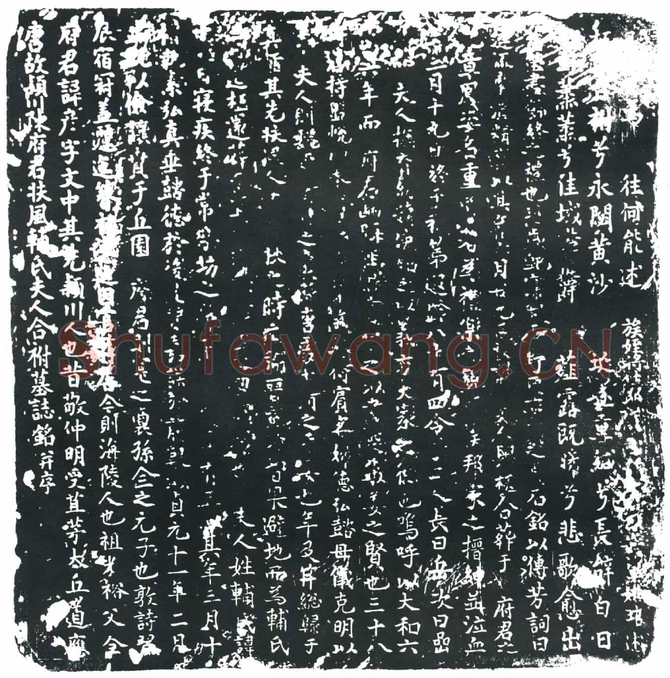 唐陈彦；辅真□墓誌