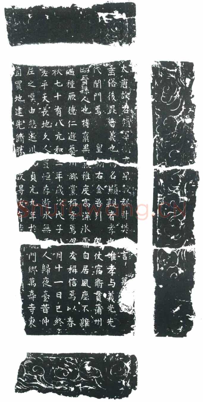 唐樊□言□墓誌