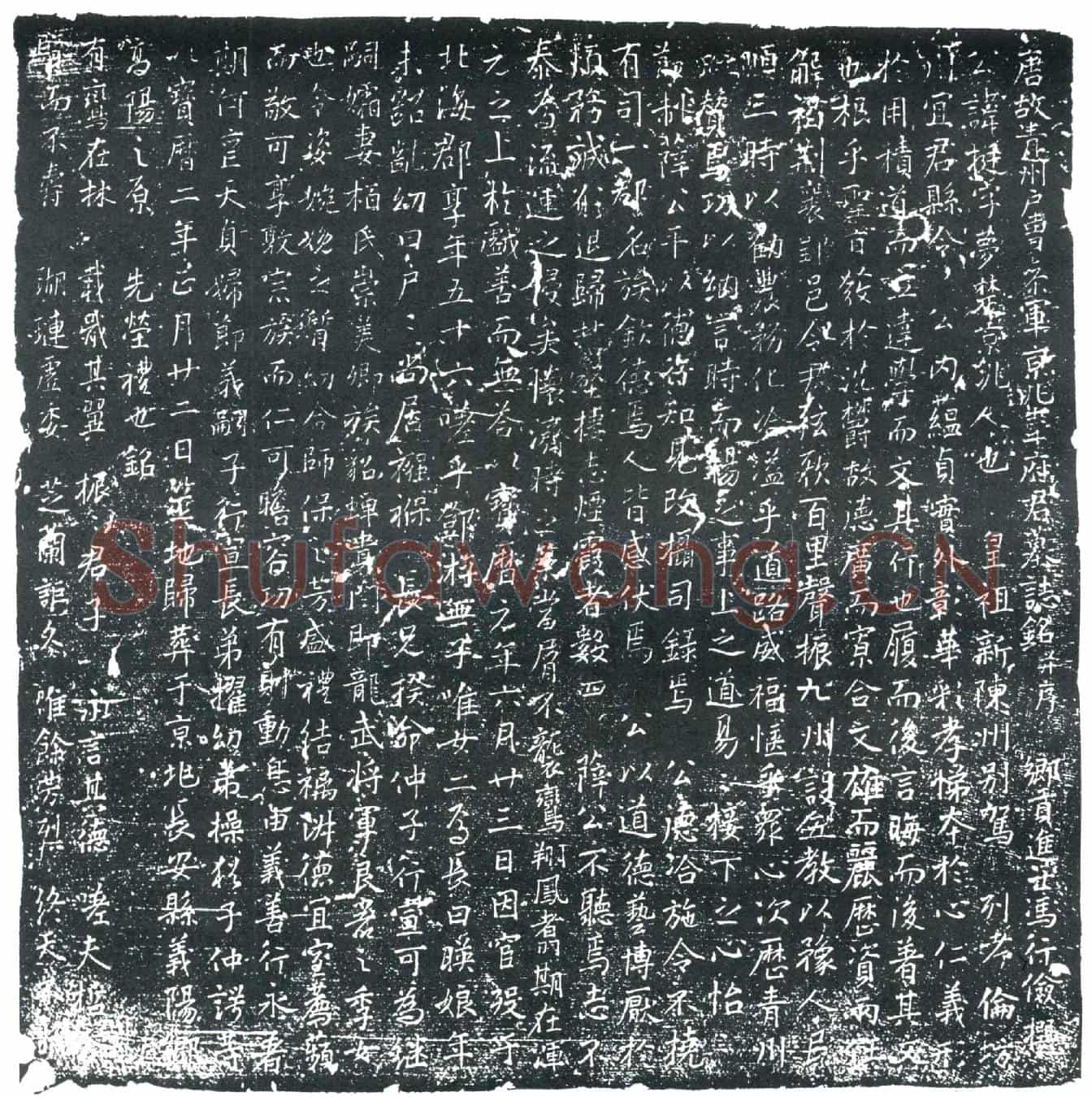 唐韦挺墓誌