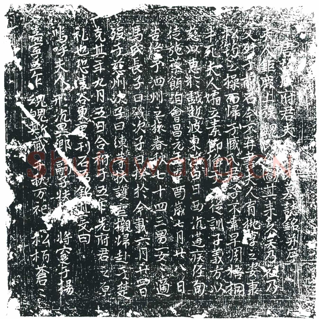 唐臧府君夫人魏氏墓誌