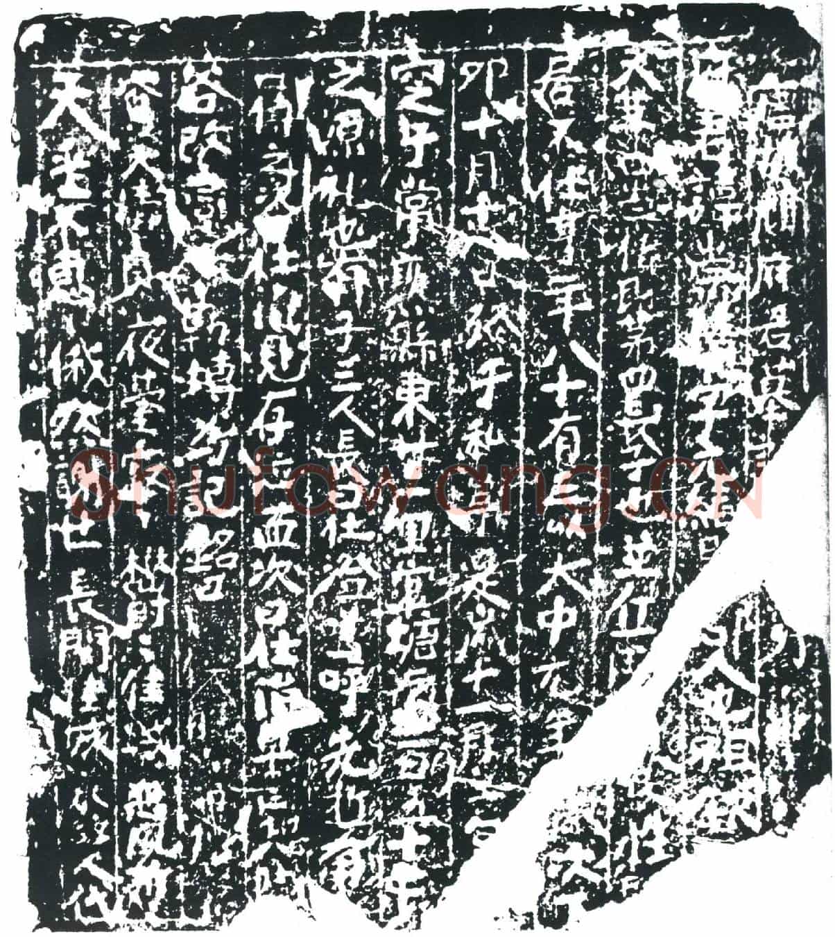 唐顾崇□墓誌