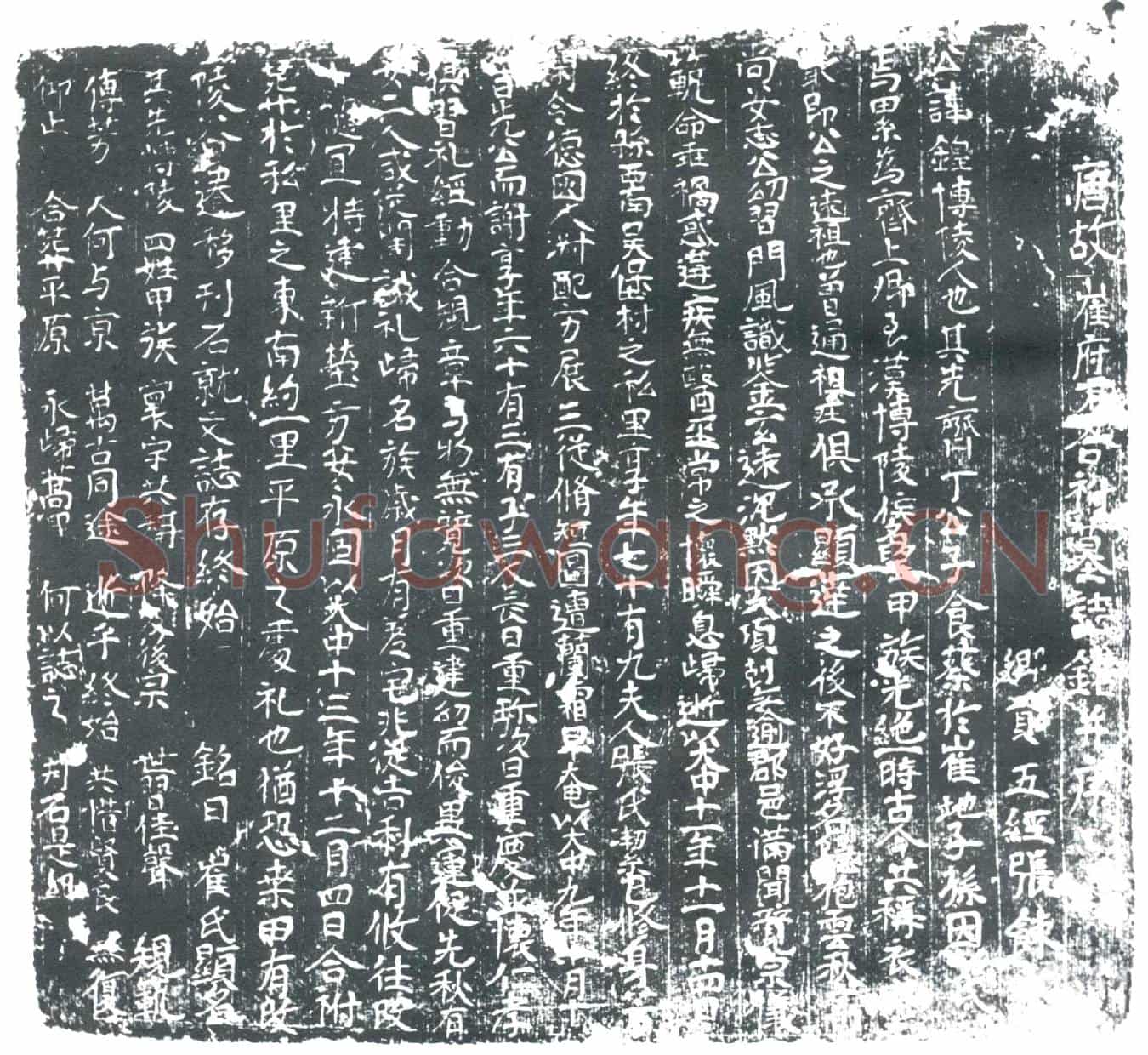唐崔锽；崔锽夫人张氏墓誌