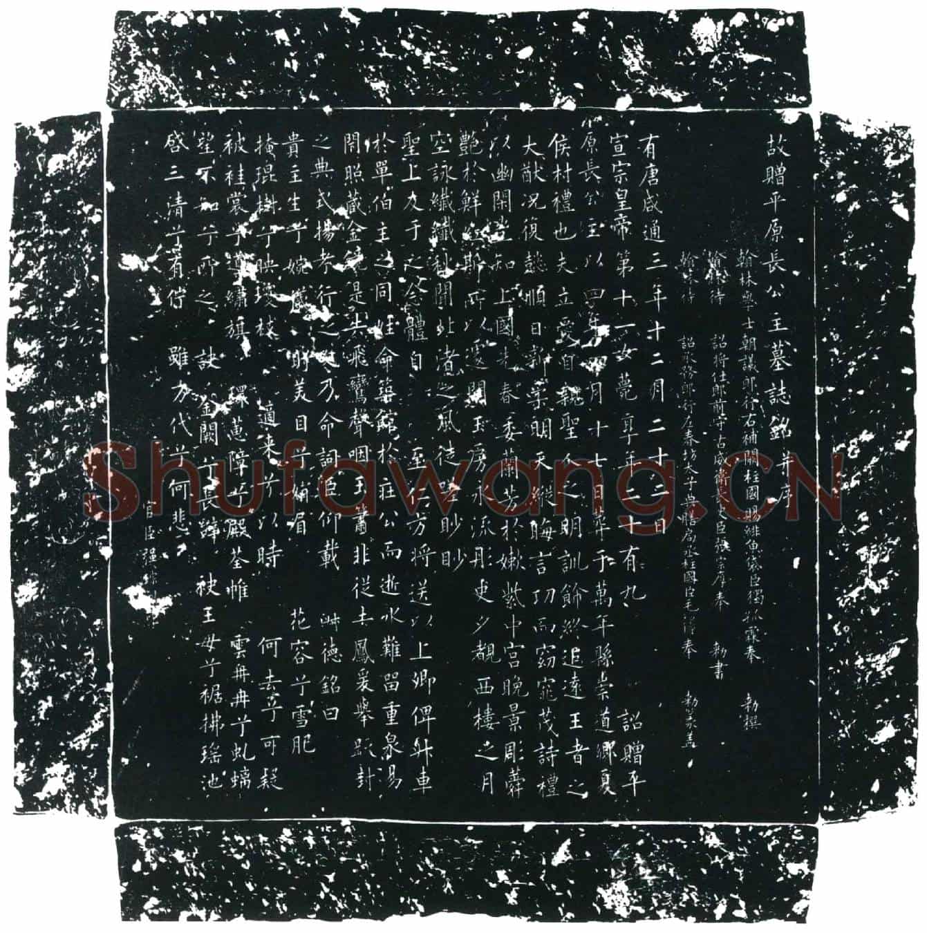 唐长公主墓誌
