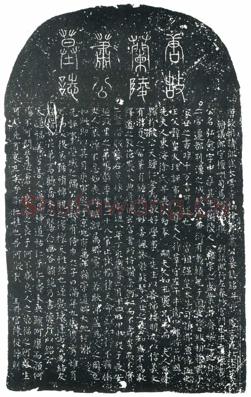 唐萧弘愈墓誌
