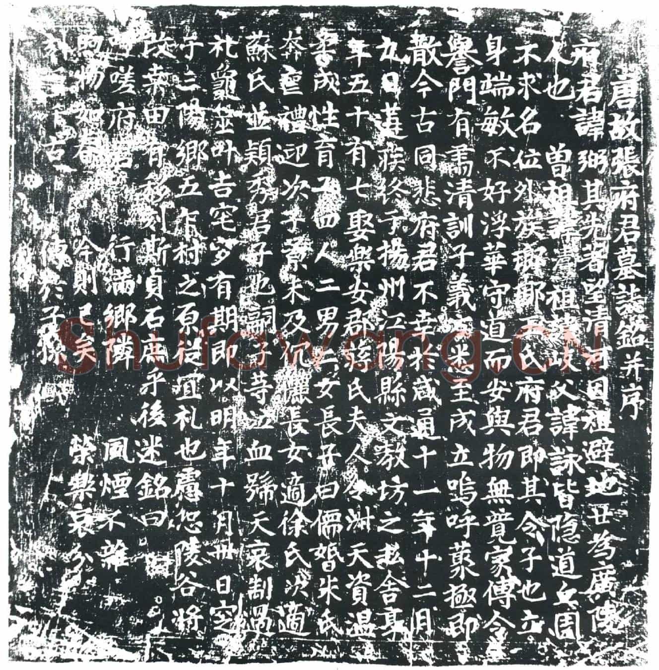 唐张弼墓誌