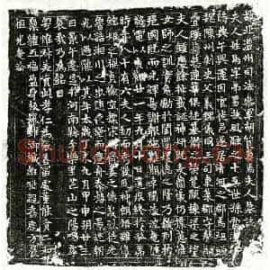 唐代 正书墓志拓片《唐胡质妻马弟男墓志》高清图片欣赏