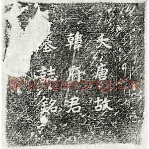唐代 楷书墓志拓片《唐韩涤墓志》高清图片欣赏