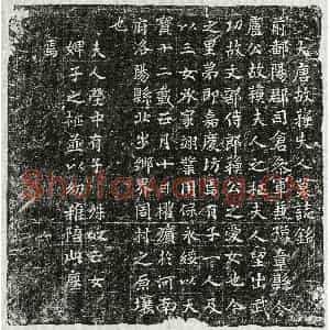 唐代 篆书 楷书墓志拓片《唐卢君妻苏氏墓志》高清图片欣赏