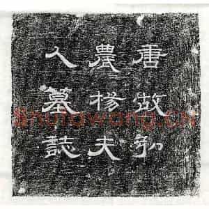 唐代 隶书 隶书墓志拓片《唐韩君妻杨氏墓志》高清图片欣赏