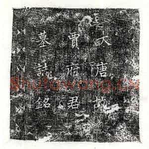 唐代 楷书墓志拓片《唐贾蓁墓志》高清图片欣赏
