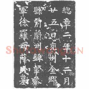 唐代 楷书墓志拓片《兖州金乡县前兰州録事参军徐罗母薛氏墓》高清图片欣赏