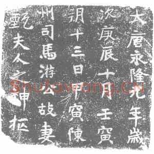 唐代 楷书墓志拓片《大唐永隆元年岁》高清图片欣赏