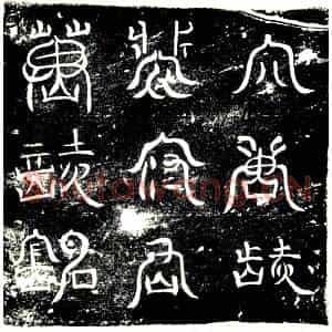 唐代 楷书墓志拓片《大唐故汝阴郡汝阴县令裴府君之墓志》高清图片欣赏