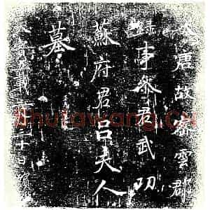 唐代 楷书墓志拓片《大唐故密云郡録事参军武功苏府君吕夫人墓》高清图片欣赏