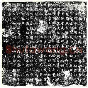 唐代 楷书墓志拓片《唐故处士河东裴府君夫人祖氏墓志铭》高清图片欣赏