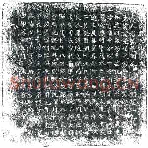 唐代 楷书墓志拓片《大唐徐君夫人荣氏铭》高清图片欣赏